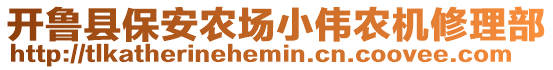 開魯縣保安農(nóng)場(chǎng)小偉農(nóng)機(jī)修理部