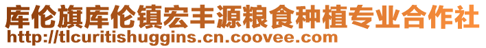 庫倫旗庫倫鎮宏豐源糧食種植專業合作社