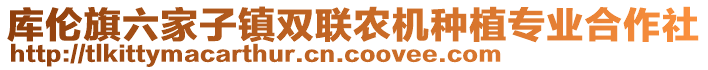 庫(kù)倫旗六家子鎮(zhèn)雙聯(lián)農(nóng)機(jī)種植專(zhuān)業(yè)合作社