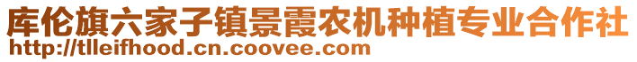 庫(kù)倫旗六家子鎮(zhèn)景霞農(nóng)機(jī)種植專業(yè)合作社