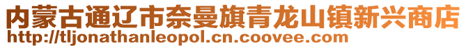 內蒙古通遼市奈曼旗青龍山鎮新興商店