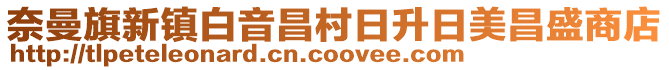 奈曼旗新鎮白音昌村日升日美昌盛商店