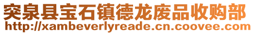 突泉县宝石镇德龙废品收购部