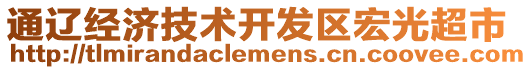 通遼經(jīng)濟(jì)技術(shù)開(kāi)發(fā)區(qū)宏光超市