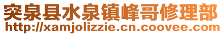 突泉縣水泉鎮(zhèn)峰哥修理部