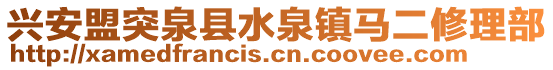 興安盟突泉縣水泉鎮(zhèn)馬二修理部