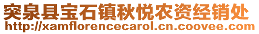 突泉縣寶石鎮(zhèn)秋悅農(nóng)資經(jīng)銷處