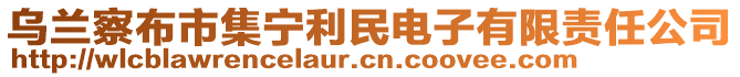 烏蘭察布市集寧利民電子有限責(zé)任公司