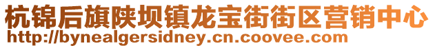 杭锦后旗陕坝镇龙宝街街区营销中心