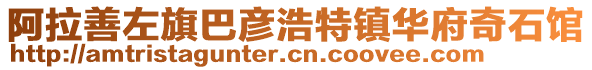 阿拉善左旗巴彦浩特镇华府奇石馆