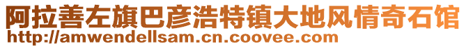 阿拉善左旗巴彥浩特鎮(zhèn)大地風(fēng)情奇石館