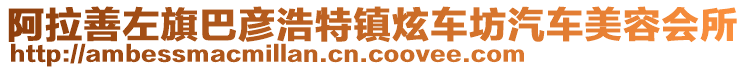 阿拉善左旗巴彥浩特鎮(zhèn)炫車坊汽車美容會所