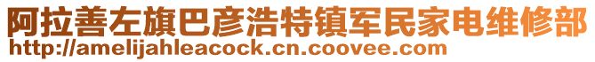 阿拉善左旗巴彥浩特鎮(zhèn)軍民家電維修部