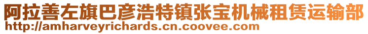 阿拉善左旗巴彥浩特鎮(zhèn)張寶機械租賃運輸部