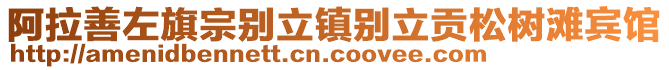 阿拉善左旗宗別立鎮(zhèn)別立貢松樹(shù)灘賓館