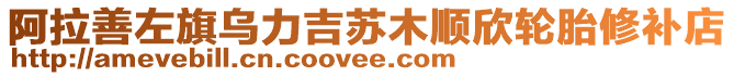 阿拉善左旗烏力吉蘇木順欣輪胎修補(bǔ)店