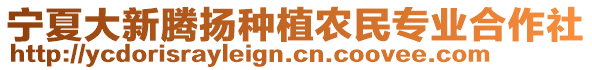 寧夏大新騰揚種植農(nóng)民專業(yè)合作社