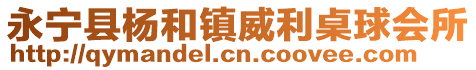 永宁县杨和镇威利桌球会所