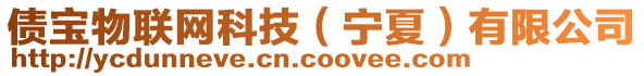 債寶物聯(lián)網(wǎng)科技(寧夏)有限公司