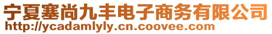 寧夏塞尚九豐電子商務(wù)有限公司