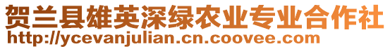 賀蘭縣雄英深綠農(nóng)業(yè)專業(yè)合作社