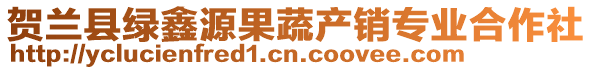 賀蘭縣綠鑫源果蔬產(chǎn)銷(xiāo)專(zhuān)業(yè)合作社