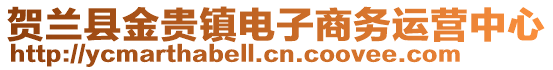 賀蘭縣金貴鎮(zhèn)電子商務運營中心