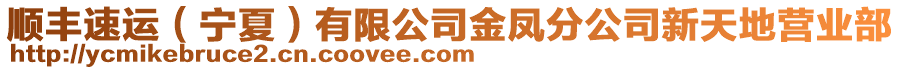 順豐速運(yùn)（寧夏）有限公司金鳳分公司新天地營業(yè)部