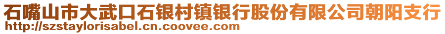 石嘴山市大武口石銀村鎮(zhèn)銀行股份有限公司朝陽支行