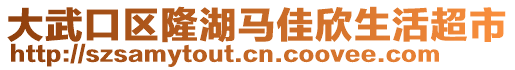 大武口区隆湖马佳欣生活超市