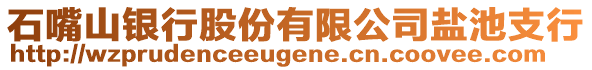 石嘴山銀行股份有限公司鹽池支行