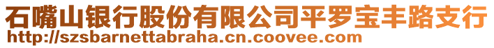 石嘴山銀行股份有限公司平羅寶豐路支行