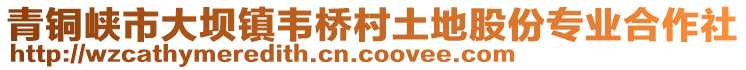 青銅峽市大壩鎮(zhèn)韋橋村土地股份專業(yè)合作社