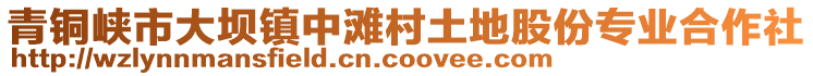 青銅峽市大壩鎮(zhèn)中灘村土地股份專業(yè)合作社