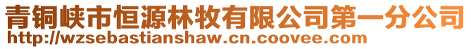 青銅峽市恒源林牧有限公司第一分公司