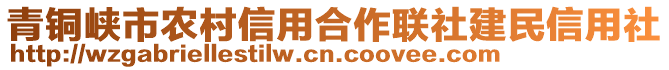 青銅峽市農(nóng)村信用合作聯(lián)社建民信用社