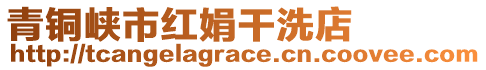 青銅峽市紅娟干洗店