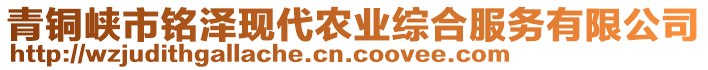 青銅峽市銘澤現(xiàn)代農(nóng)業(yè)綜合服務(wù)有限公司