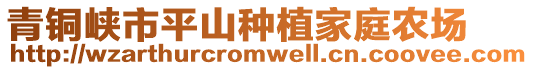 青銅峽市平山種植家庭農(nóng)場