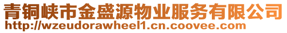 青銅峽市金盛源物業(yè)服務有限公司