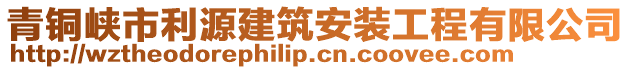 青銅峽市利源建筑安裝工程有限公司