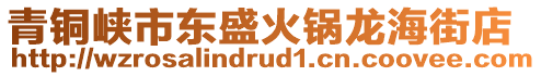 青銅峽市東盛火鍋龍海街店