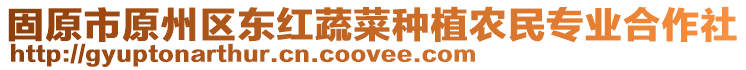 固原市原州區(qū)東紅蔬菜種植農(nóng)民專業(yè)合作社