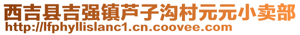 西吉縣吉強(qiáng)鎮(zhèn)蘆子溝村元元小賣部