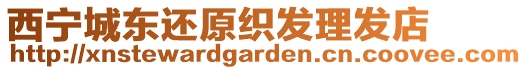 西寧城東還原織發(fā)理發(fā)店