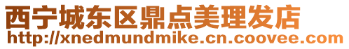西寧城東區鼎點美理發店