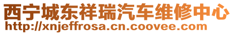 西寧城東祥瑞汽車維修中心