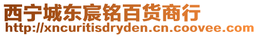 西寧城東宸銘百貨商行