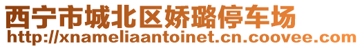 西寧市城北區(qū)嬌璐停車場