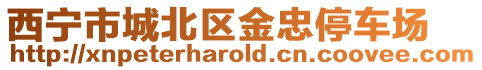 西寧市城北區金忠停車場